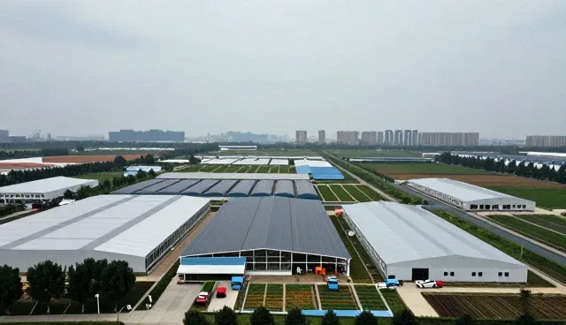 供应链服务如何赋能传统商贸场景